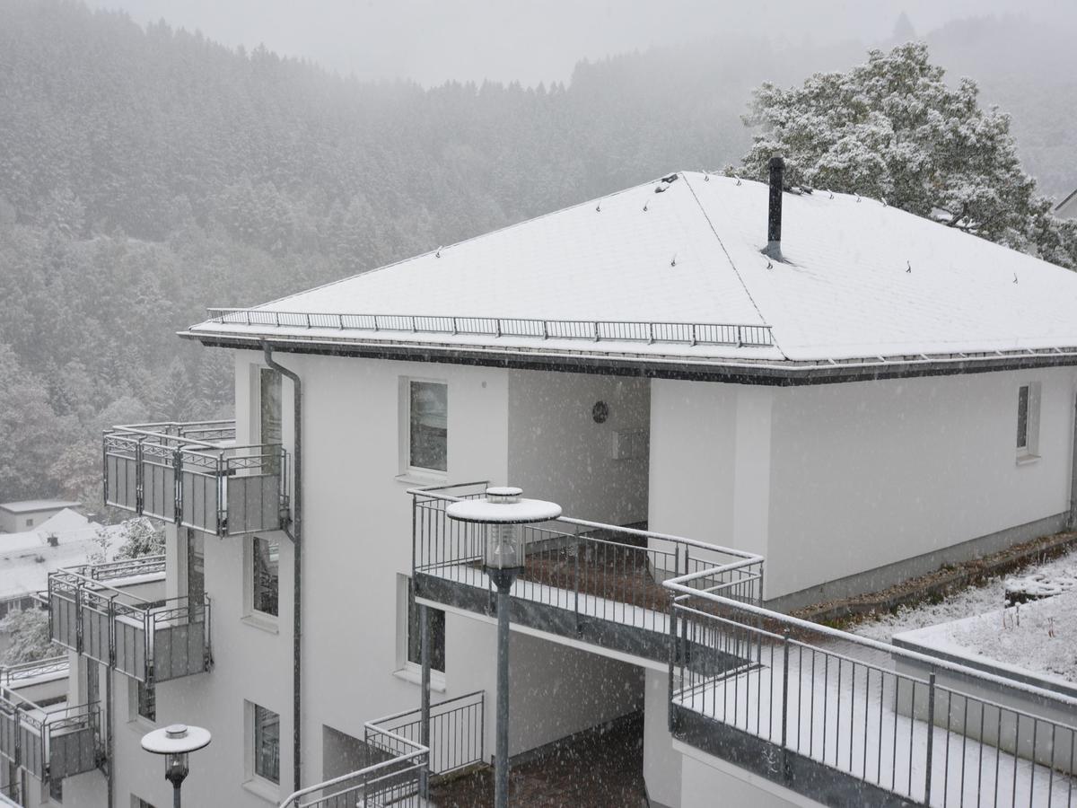 Modern Apartment In A Holiday Resort In The Centre Of Willingen 维林根 外观 照片